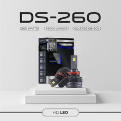 DS-260