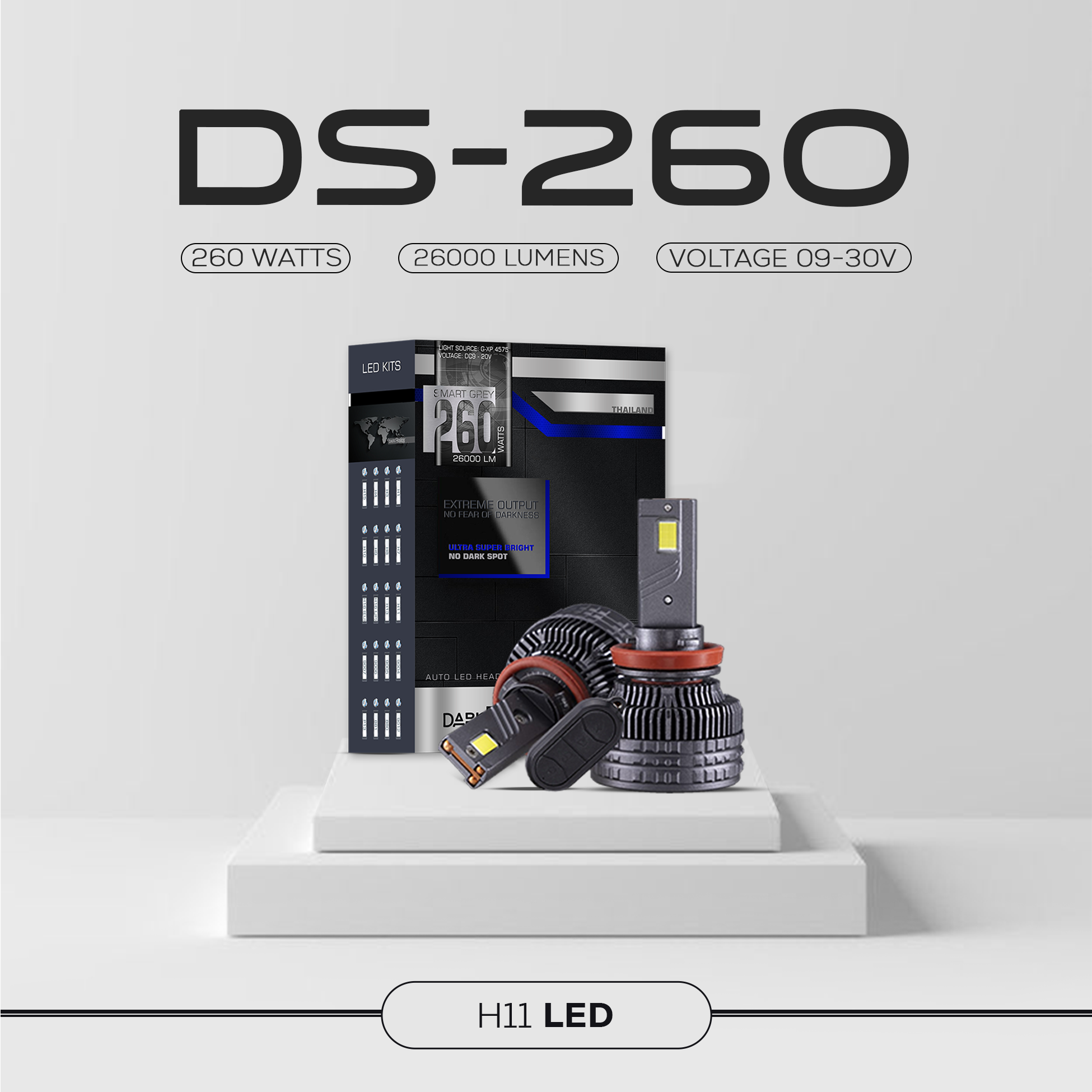 DS-260